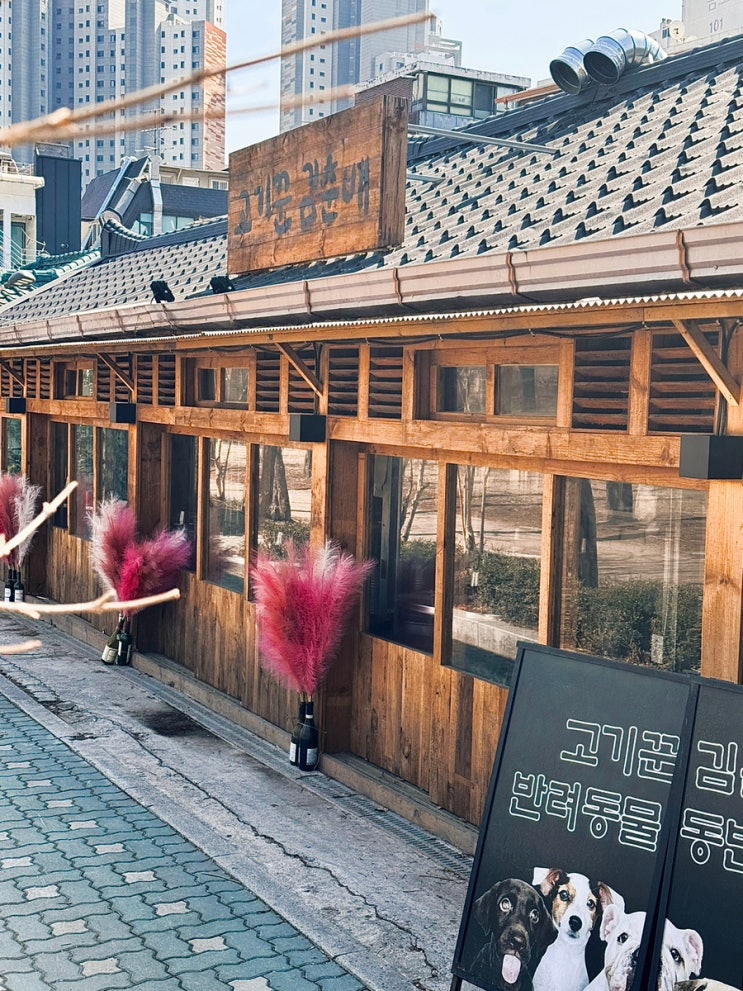 홍대 애견동반 식당 고기꾼김춘배 숲길직영점 강아지랑 갈만한곳