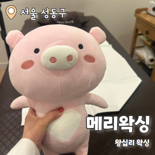  메리왁싱 : 왕십리 브라질리언왁싱 추천 후기 (안아픔)