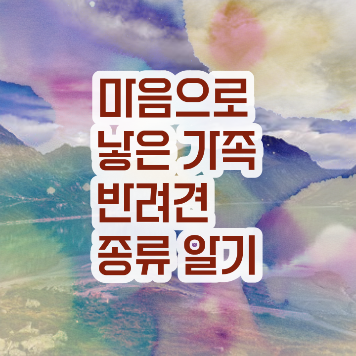  반려동물관리사 클래스  반려동물관리사  핵심 정보