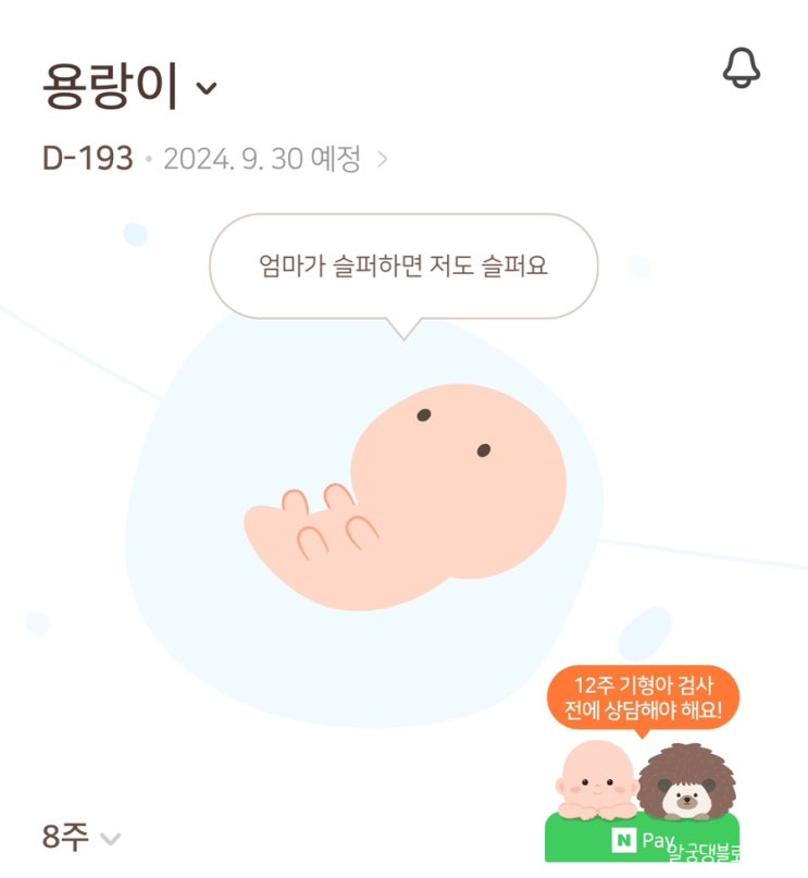 임신 8주차 | 후둥이의 심장 멈춤 베니싱트윈 프롤루텍스는 이제 끝!