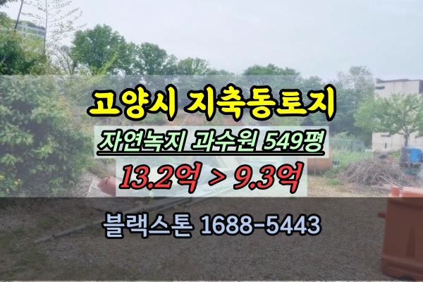  고양시 지축동토지 경매 과수원 500평 은평뉴타운