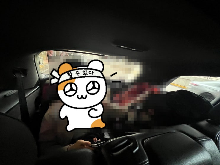  여행 와써요
