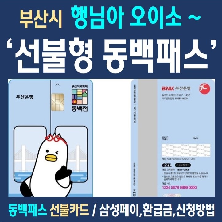 부산에 출시된 <b>선불</b>형 충전식 <b>동백</b>패스 <b>선불</b>카드, 환급금... 