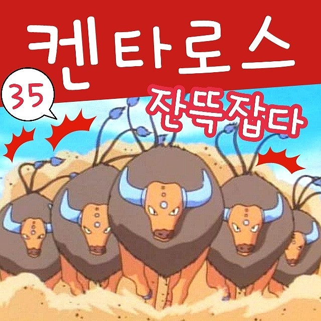  포켓몬스터 35화 사파리존 지우 켄타로스 잡다, 미뇽 진화 신뇽