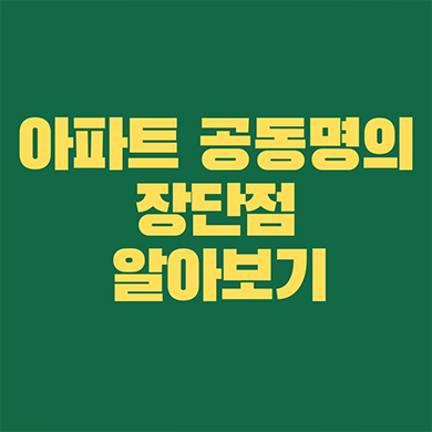  아파트 공동명의 장단점 알아보기