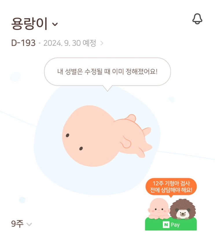 임신 9주차 | 일산차병원 난임 졸업 배아사진 산모수첩 초음파앨범 구입
