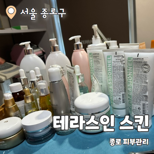  테라스인스킨 : 종로 피부관리 달방케어 추천 후기