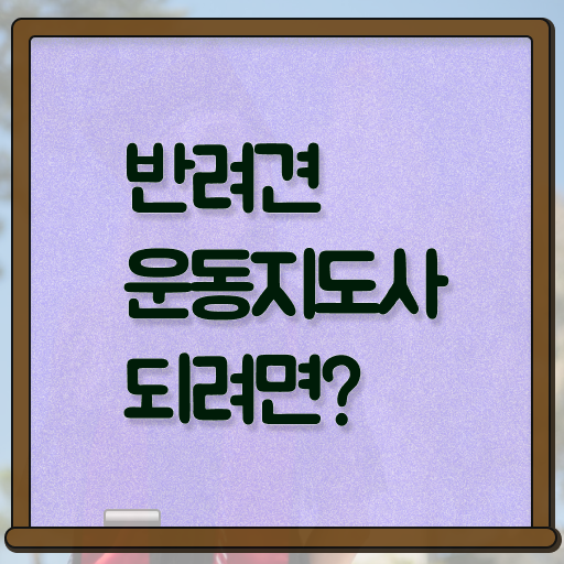  반려견운동지도사 분석가  반려견운동지도사  살펴보아요