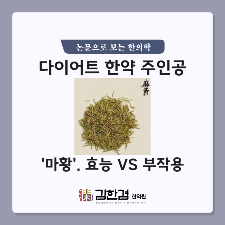  다이어트 한약의 주인공 마황의 효과 및 부작용