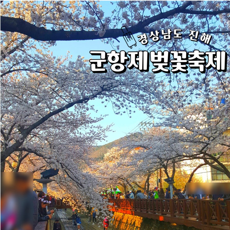 벚꽃 개화시기와 <b>진해 군항제 일정</b> 주차 셔틀
