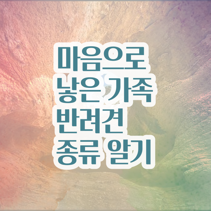  반려동물 등록   반려동물 등록 변경  반려동물관리사  자격증 정보