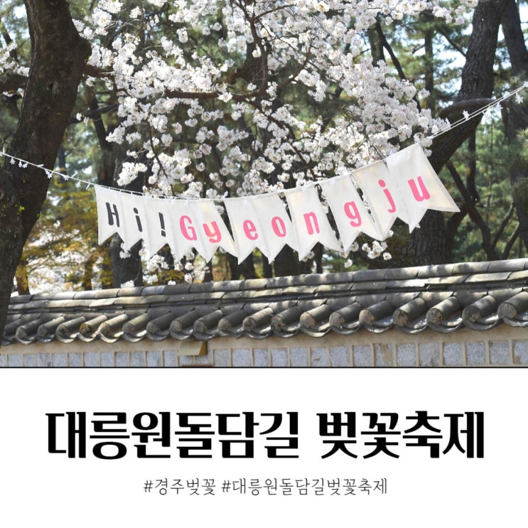 경주 대릉원돌담길 벚꽃축제 연기 숨은 벚꽃명당