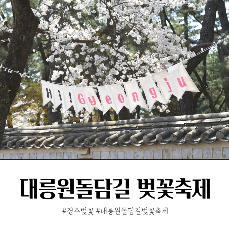  경주 대릉원돌담길 벚꽃축제 연기 숨은 벚꽃명당