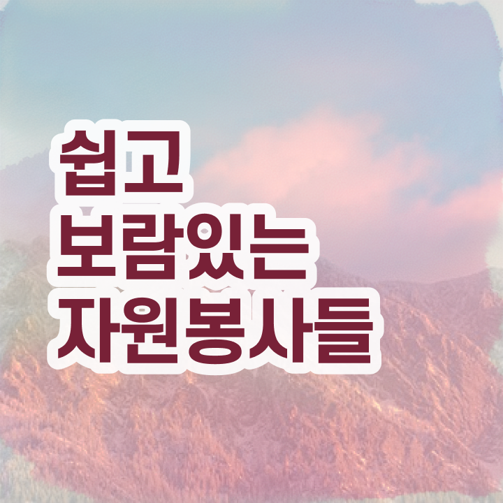 자원봉사지도사 독학    정보 제공