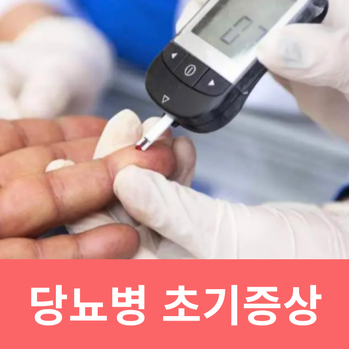  당뇨 전조증상 당뇨정상수치 당뇨에 좋은 음식