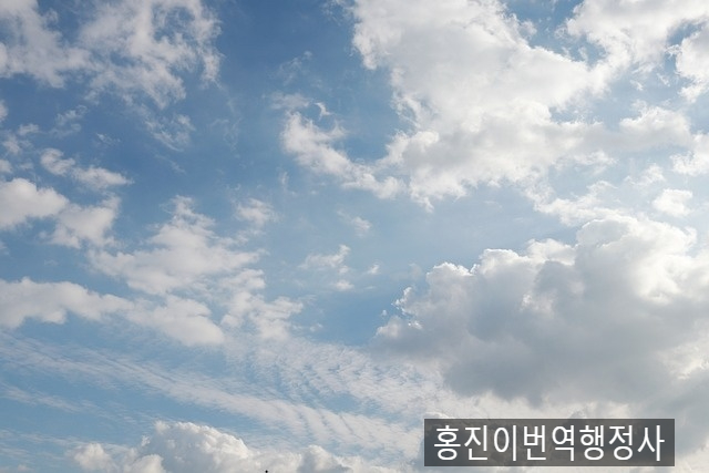  베트남 영사인증 (위임장, 혼인, 가족, 진술서)