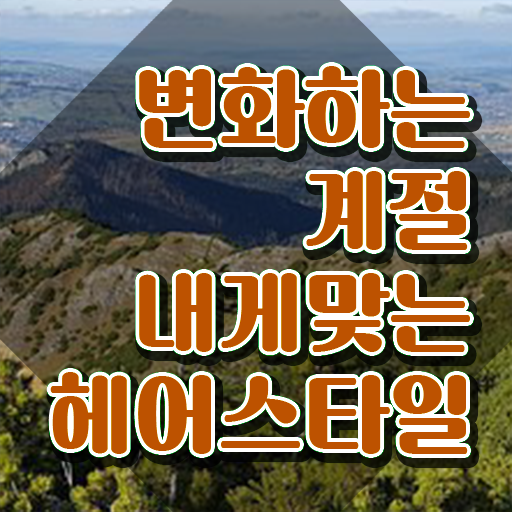  커트지도사 무료수강  커트지도사  여기서 확인하세요