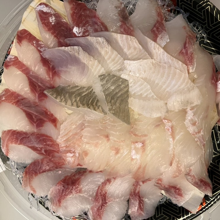  [나무섬] 부산 영도 회 맛집 | 내 돈 주고 사 먹은 찐맛집 리뷰