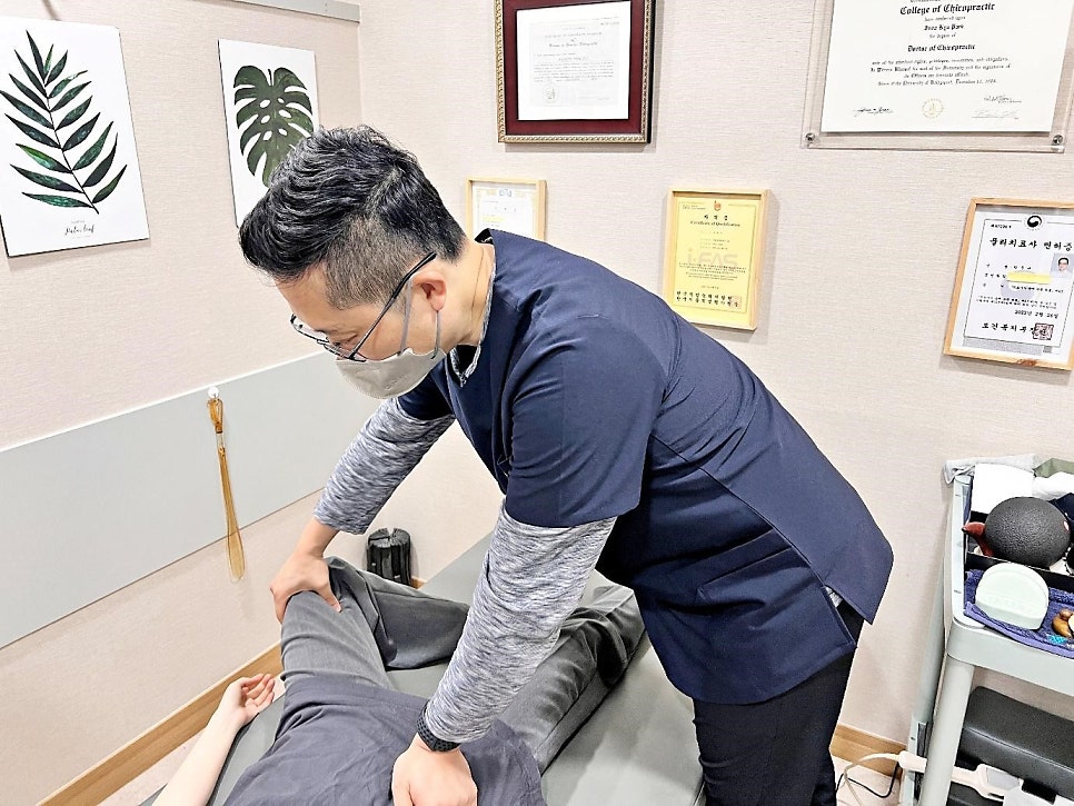 Physical therapy and manual therapy, what are the differences? — 본문 그림