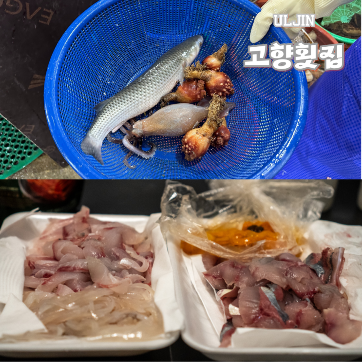  울진 후포항 수산시장 고향횟집 회포장 가격