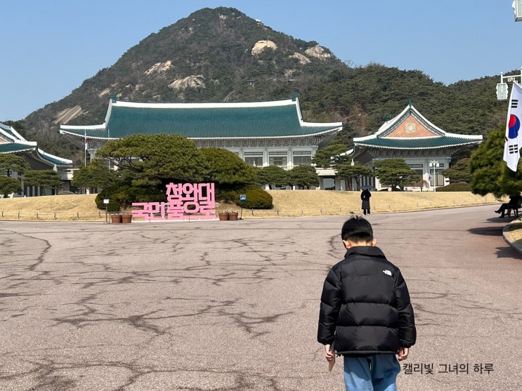 서울 여행 초등 아이와 당일치기 청와대 관람 예약 방법