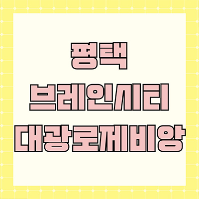  평택 대광로제비앙 미분양아파트 브레인시티 장안동 신축 잔여세대 분양가 모델하우스 방문문의