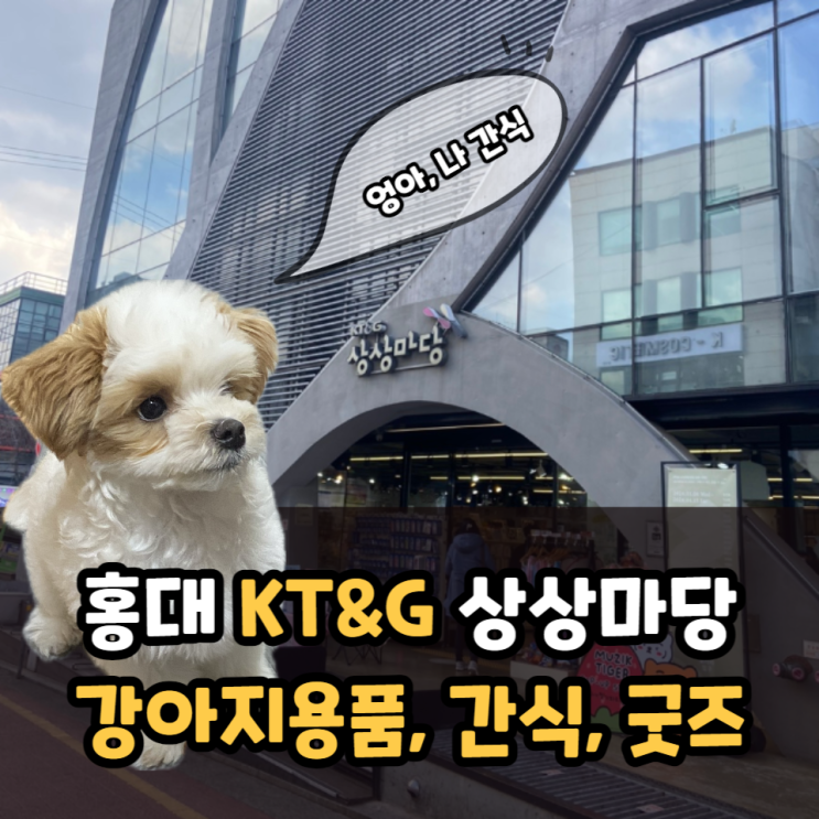 홍대KT 상상마당 강아지장난감, 굿즈, 간식 쇼핑장소로 추천
