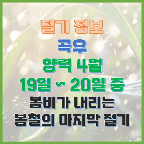 곡우 4월 19일 또는 20일 봄비가 내리는 봄철의 마지막 절기 곡우 4월 19일 또는 20일 봄비가 내리는 봄철의 마지막 절기