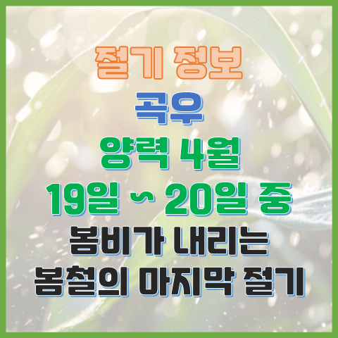 곡우 4월 19일 또는 20일 봄비가 내리는 봄철의 마지막 절기