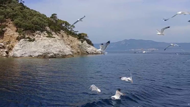  분노조절장애   어린이 분노조절장애  분노조절상담지도사  고민이시라고요