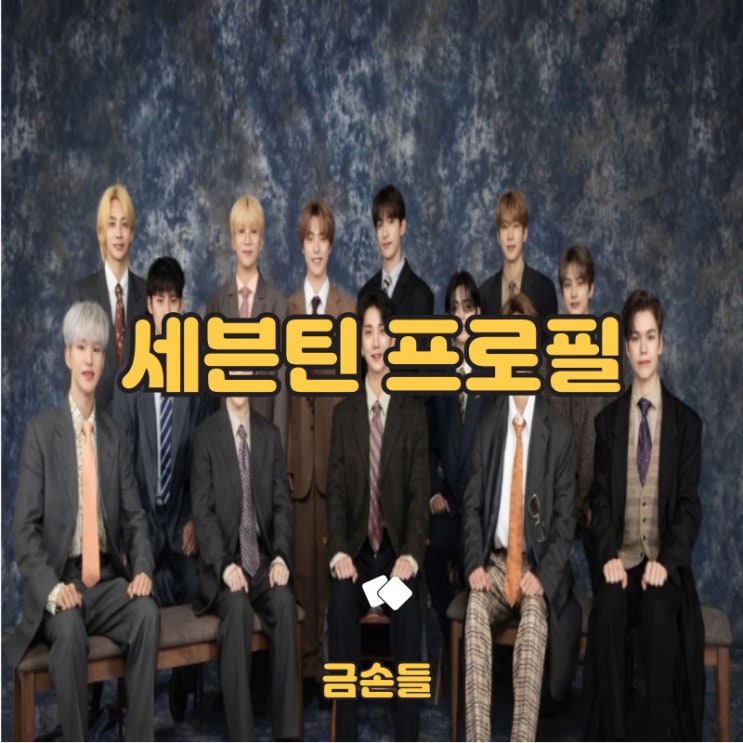<b>세븐틴</b> 프로필을 통해 다양한 매력을 알아가기