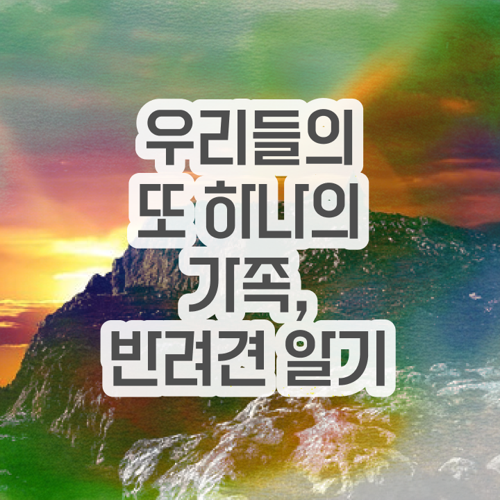  강아지훈련사   강아지 훈련사 비용  반려동물관리사  정보 꾸러미