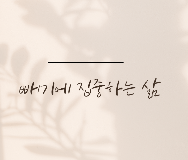  디자이너 퇴사자의 미니멀라이프