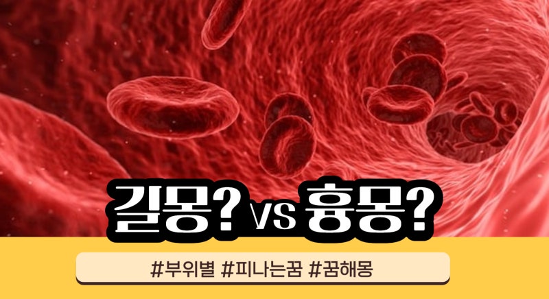[피나는꿈] 부위별 피나는꿈 눈,귀,입