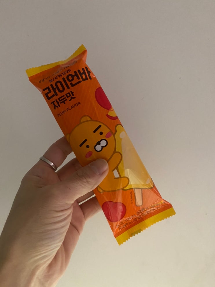  내돈내먹 / 라이언바 자두맛, 자두맛 나는 것 같기도 하고