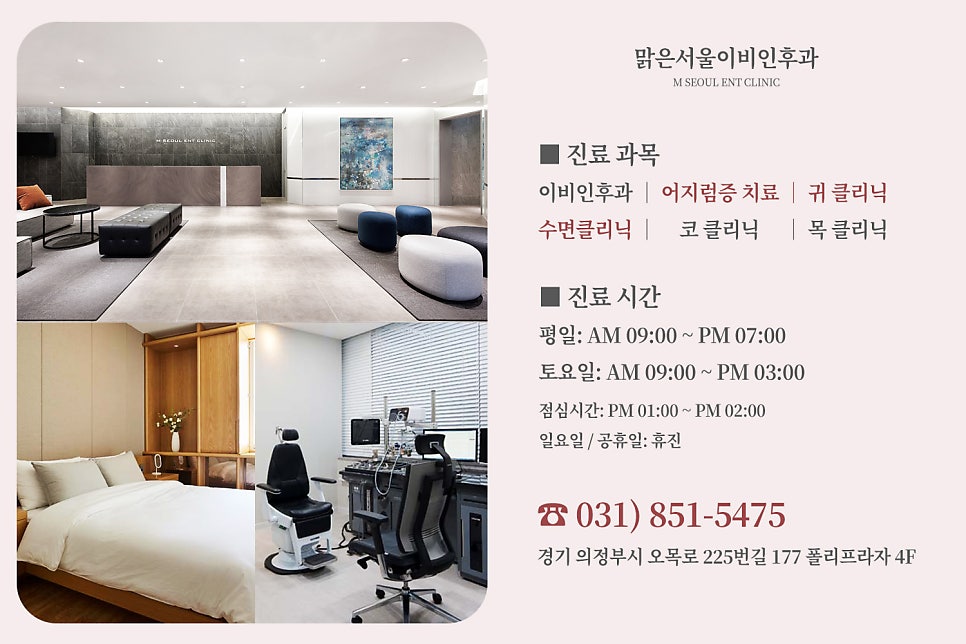 의정부 어지럼증 원인은 귀에 있습니다. 이석증, 메니에르병, 전정신경염