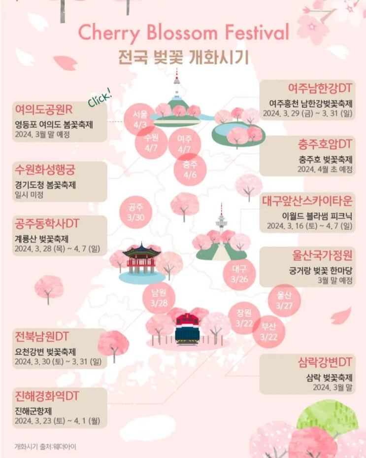  2024 벚꽃 개화 시기 및 벚꽃축제 정리(feat 벚꽃 구경 가능한 스타벅스 매장 TOP 6)