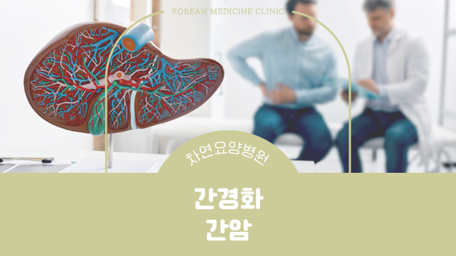  간경화 간암 예방하려면 탄수화물 지방음식 절제해야