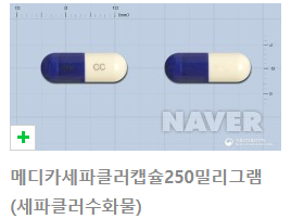 내가 복용한 피부과(염증성 무좀)처방 약에 대해 알아보기