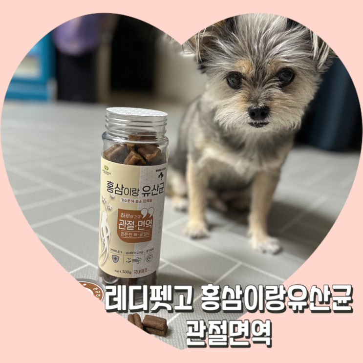  동물병원간식 레디펫고 ‘홍삼이랑유산균 관절 면역’ 강아지 간식