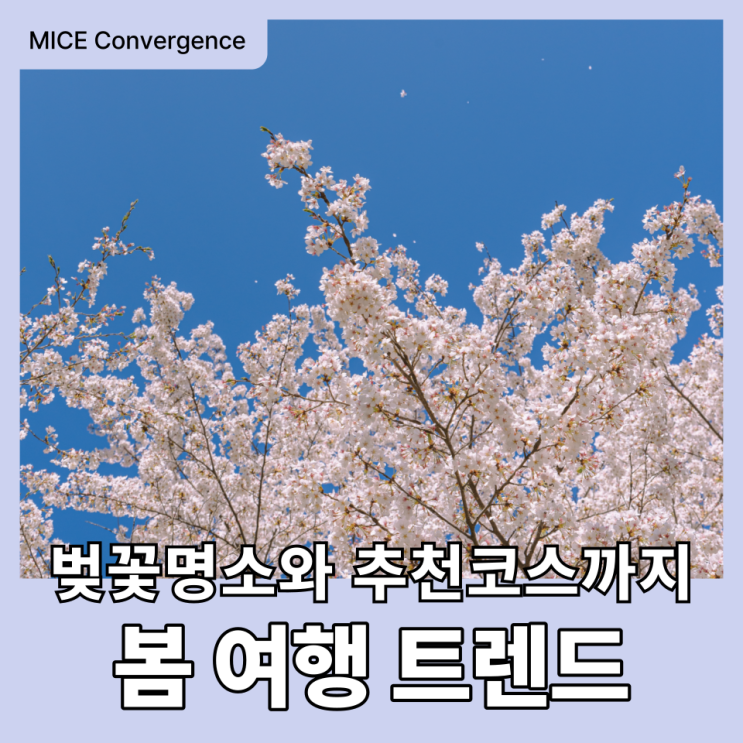  강원도 벚꽃명소부터 양양 여행코스까지 놓치면 안 될 봄 여행 트렌드