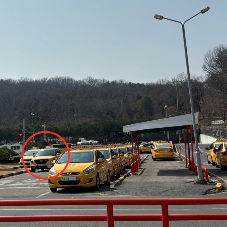  면허일기 5부ㅣ녹천운전면허학원 도로주행교육 후기