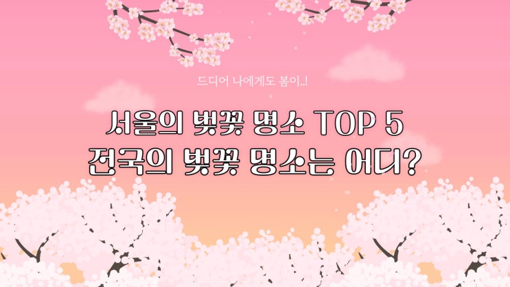  서울의 벚꽃 명소 TOP 5와 전국 각 지역별 벚꽃 명소가 어디인지 알아보겠습니다