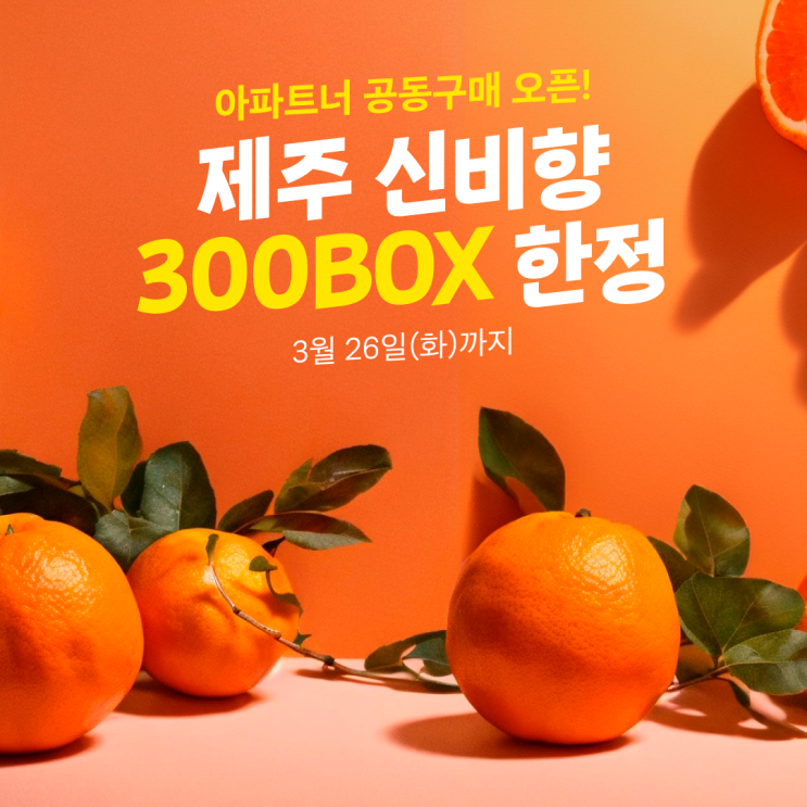  [아파트너, 공동구매] 제주신비향 300BOX 오픈!