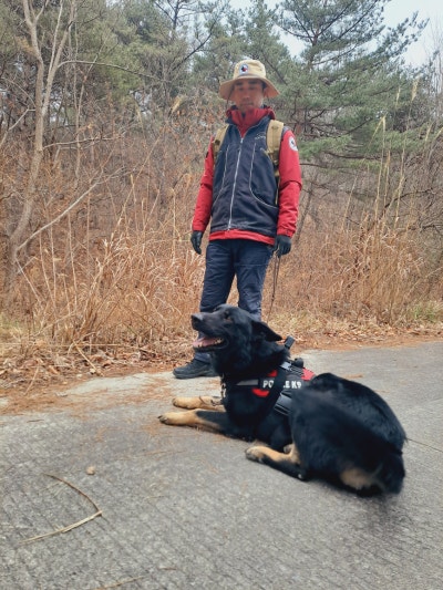 사진 6