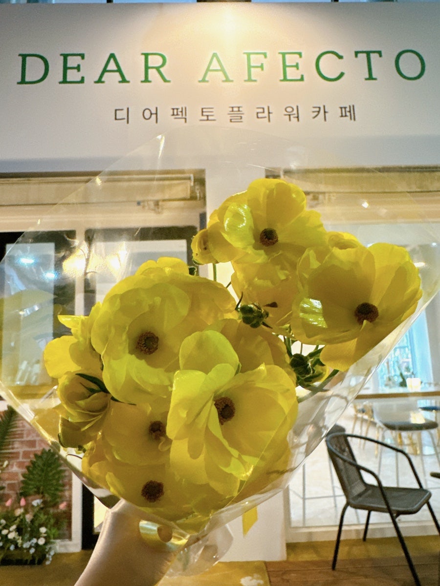 디어펙토 사진 1
