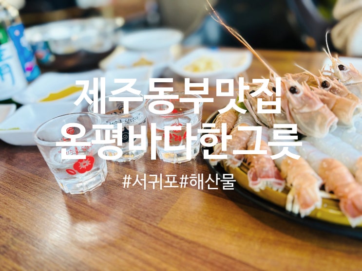 제주 성산 일출봉과 섭지코지가 한눈에 보이는 오션뷰 맛집 Ι 온평바다한그릇