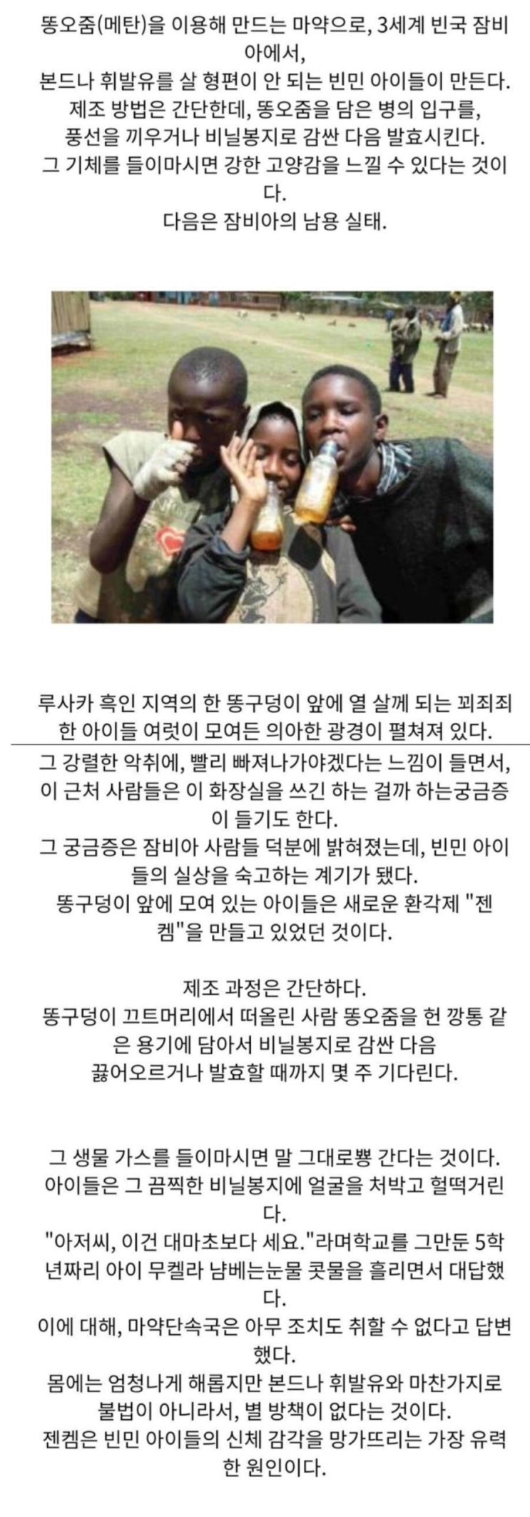  똥오줌으로 만드는 아프리카 신종 마약