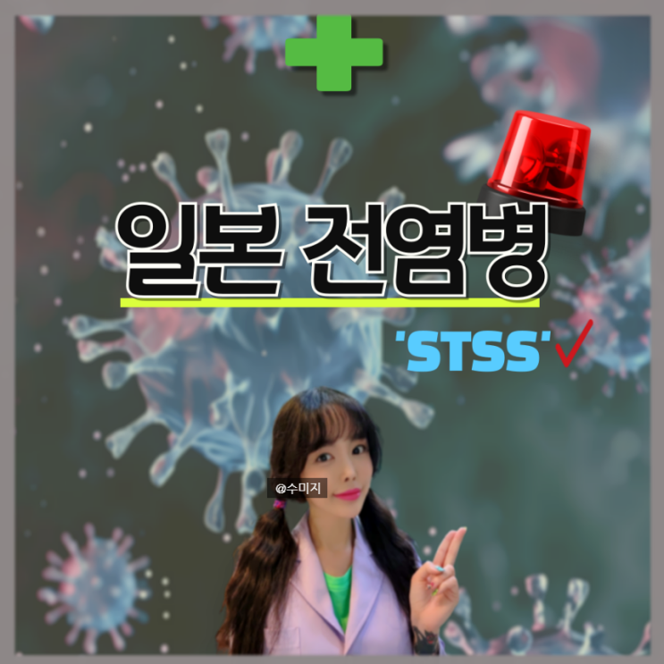  일본 감염병 : stss 증상 독성쇼크증후군 (일본 전염병)