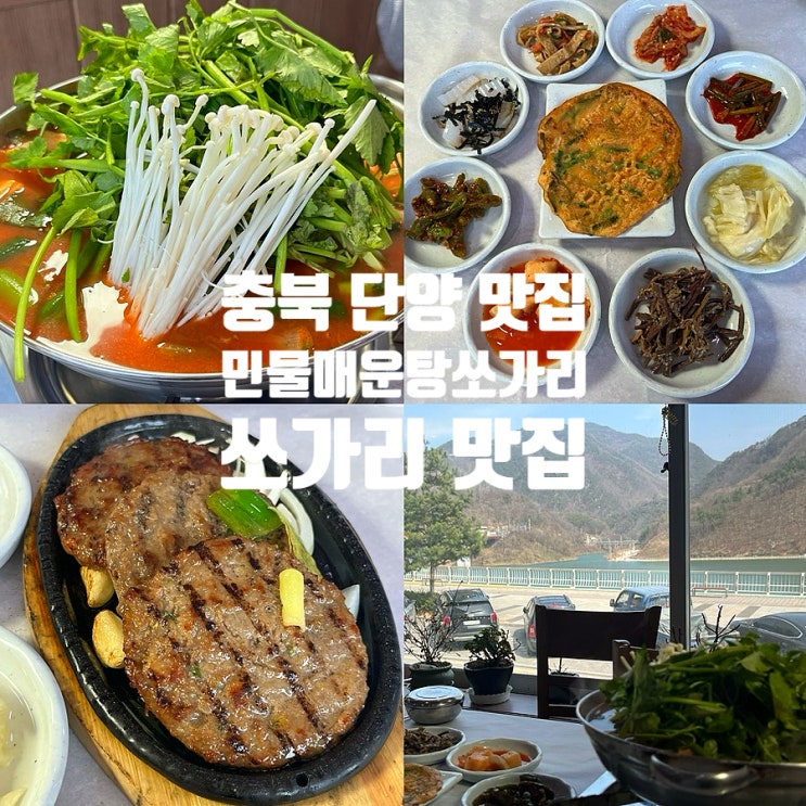  충북 단양 맛집 추천 단양민물매운탕쏘가리 쏘가리매운탕 후기
